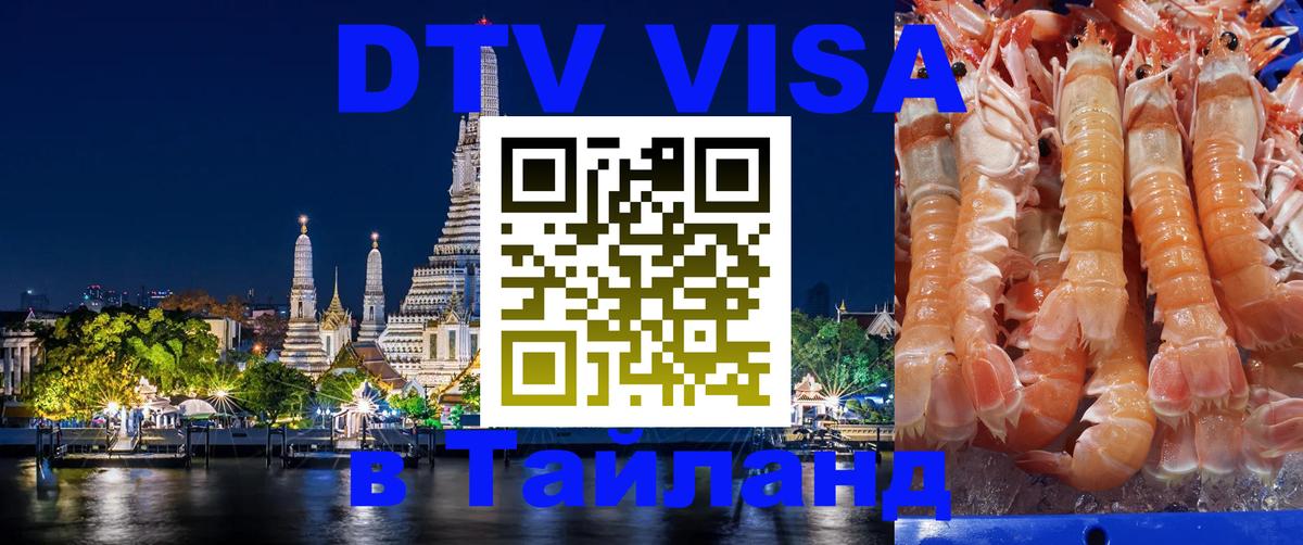 Оформление DTV визы под ключ: стоимость и тарифы, только загранпаспорт - Волгодонск  20.11.2025 